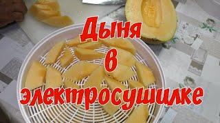 Дыня в электросушилкеDried melon