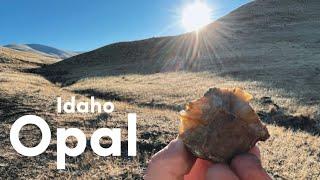 Hunting for Opals in the Volcanic Hills  Rockhounding Idaho