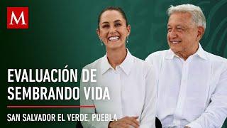 AMLO preside la evaluación de Sembrando Vida en Puebla