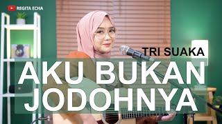 AKU BUKAN JODOHNYA - TRI SUAKA  COVER BY REGITA ECHA 