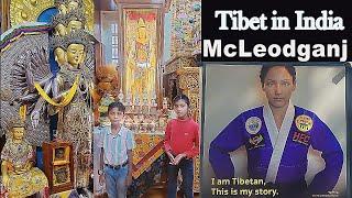 McLEODGANJ  A Mini Tibet in India Palampur  Himachal Pradesh Tour Episode 8  Home of Dalai Lama