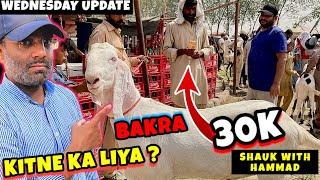 KITNE KA LIYA ? BAKRAY AA GAYEQURBANI EID 2024 VIDEOS - BAKRA MANDI PAKISTAN 2024 VIDEOS