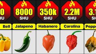 Hottest Peppers In The World  Comparison What Are The Spiciest Peppers In The World?