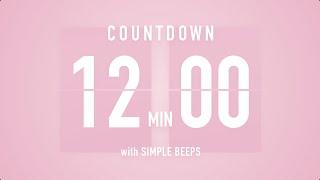 12 Min Countdown Flip Clock Timer  Simple Beeps 