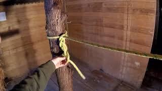 Daisy Chain Hitch     Arborist Knots Rigging