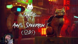 Stray Any% PC Speedrun 5235