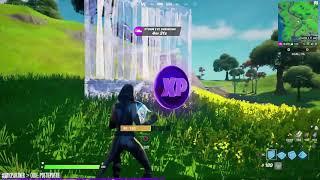 WEEK 9 PURPLE XP COIN LOCATION 2 OF 2 - FORTNITE SEASON 5