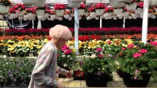 Grandma Bosgraaf - what keeps you going at 93