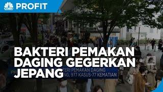 Bakteri Pemakan Daging Gegerkan Jepang 77 Orang Meninggal