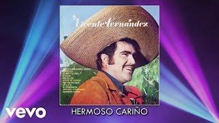 Vicente Fernández - Hermoso Cariño Audio