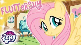 My Little Pony Deutsch  Fluttershy  1 Stunde COMPILATION  Freundschaft ist Magie MLP