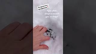 Поздравляю моих любимых зрительниц с праздником #8мартапоздравление