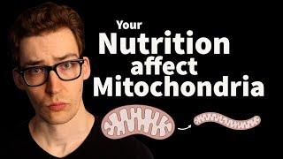 Fasting and Overeating - How you Change your Mitochondria. Study 32