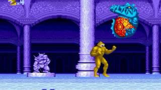 Altered Beast Sega Mega Drive #5 - Stage 4  WereTiger