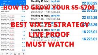 HOW TO BE MASTER OF VIX 75 WITHOUT LOSSING