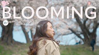 BLOOMING  JAPAN SAKURA 2023 CINEMATIC VLOG  EP2  Shot on SONY A7SIII