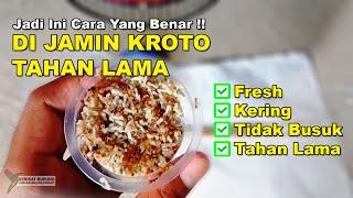 Tips Cara Menyimpan Kroto Agar Awet Tahan Lama Tidak Mudan Busuk dan Tidak Kering