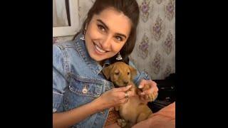 Tara Sutaria Bollywood Actress Video Viral Playing with her Pet  Bollywood   Tara Sutaria