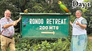 African Crowned Eagle  Day 1 In Rondo  Beckys Birthday Trip  Kakamega Rain Forest ￼ Bird Lovers