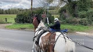 Bits Brakes and Barefoot Driving with Gogo the Cob