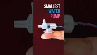 Smallest Water Pump #shorts #youtubeshorts #creativefest