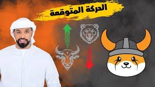 عملة فلوكي Floki Coin هل ممكن ان تصل 0.03$ -- 11072024