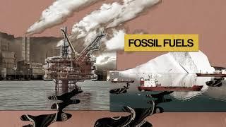 Fund Our Future The Impact of Fossil Fuel Investment