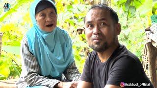 RUMAH MAK SUPIAH DI TENGAH KEBUN KOPI AYAM MILIKNYA SERING DIMAKAN ULAR…