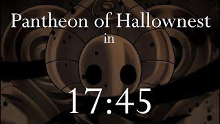 Hollow Knight Speedrun - Pantheon of Hallownest in 1745