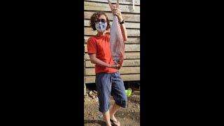 Murah Banget - Review Pasar Ikan Waisai Raja Ampat - Jenis dan Harga