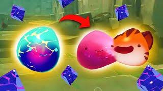 Slime Rancher. НОВЫЙ СЛАЙМ СЛАЙМ-РАЗДЕЛИТЕЛЬ