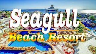 Seagull Beach Resort 4 Hotel Hurghada Egypt 