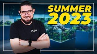 How to BATTLE the SUMMER HEAT with an Aquarium in 2023?