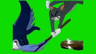 TOM AND JERRY GREEN SCREEN FULL HD