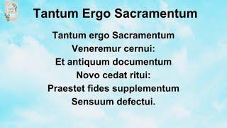 Tantum Ergo Sacramentum Song with Lyrics
