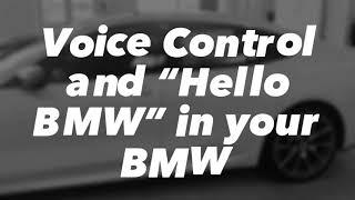 “Hello BMW” and Voice Control button in 2020 BMW M850i