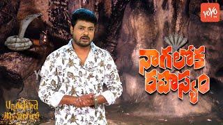 Nagaloka History  Real Naag Lok  Patal Bhuvaneshwar Cave Secrets  Unsolved Mysteries  YOYO TV