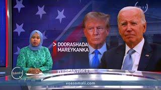Waa maxay ceebaha ay leeyihiin Biden iyo Trump?  VOA Somali