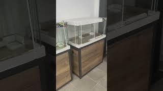 Аквариумная студия️‍ #аквариум #машаблюм #aquarium #аквариумистика #aquascape #mashabloom #aqua