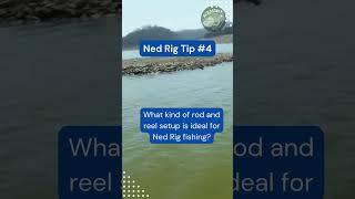 Ned Rig 101 Tips and Tricks for Beginners #shorts #bassfishing #fishing