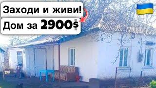  Заходи и живи Дом в селе за 2900$ Продажа недвижимости за копейки Всё есть Уютное тихое село