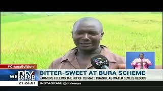 Farmers say Bura Irrigation Scheme is primed for rice farming