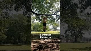 Outdoor WorkoutBenefits️ #calesthenics #bodyweight #testosterone #vitamind