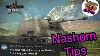 Tips and Tricks Nashorn WOT Blitz