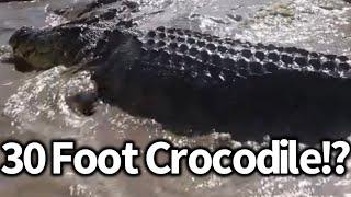 30 Foot Crocodile Seen in Borneo