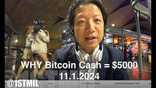 BCH Bitcoin Cash $5000 in 2024 Most Accurate Price Prediction EVER