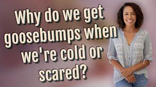 Why do we get goosebumps when were cold or scared?