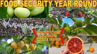 Grow These 6 Fruit Trees For YEAR ROUND HARVESTS Never Fear FOOD SHORTAGES Always Have Fresh Food