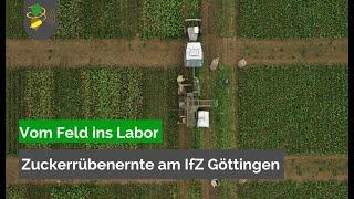 Rübenernte am IfZ Göttingen I FarmerSpace