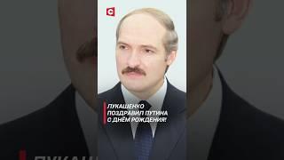 Лукашенко поздравил Путина с днём рождения #лукашенко #путин #россия #путин #новости #беларусь